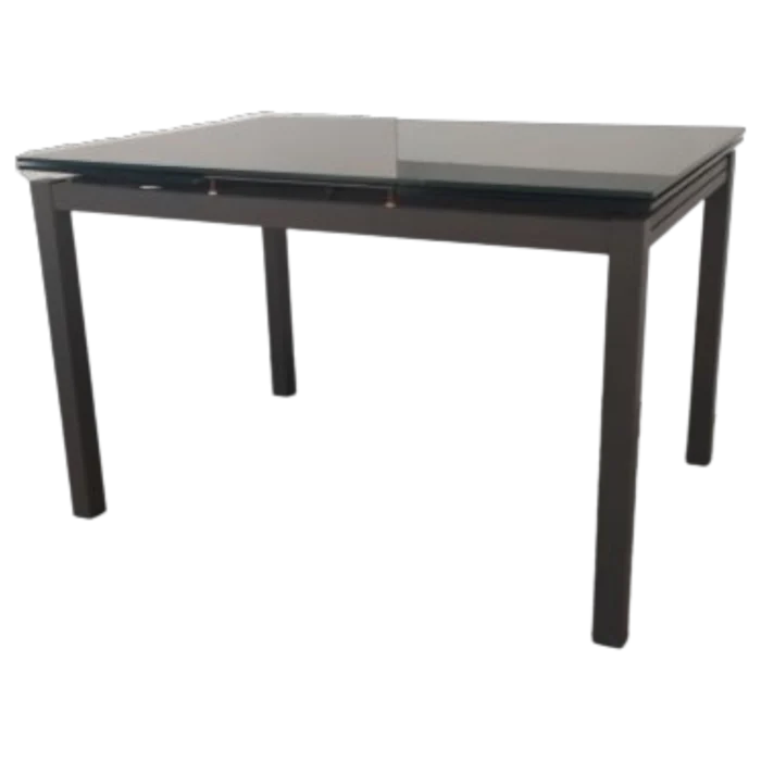 Athenea Dining Table — Glass Top, metal Legs - Black