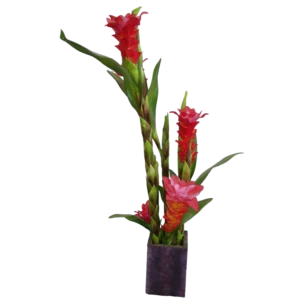 FLOWER GINGER COLOR PINK 4069-2 81cm