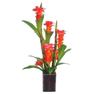FLOWER GINGER COLOR PINK 4069-2 81cm