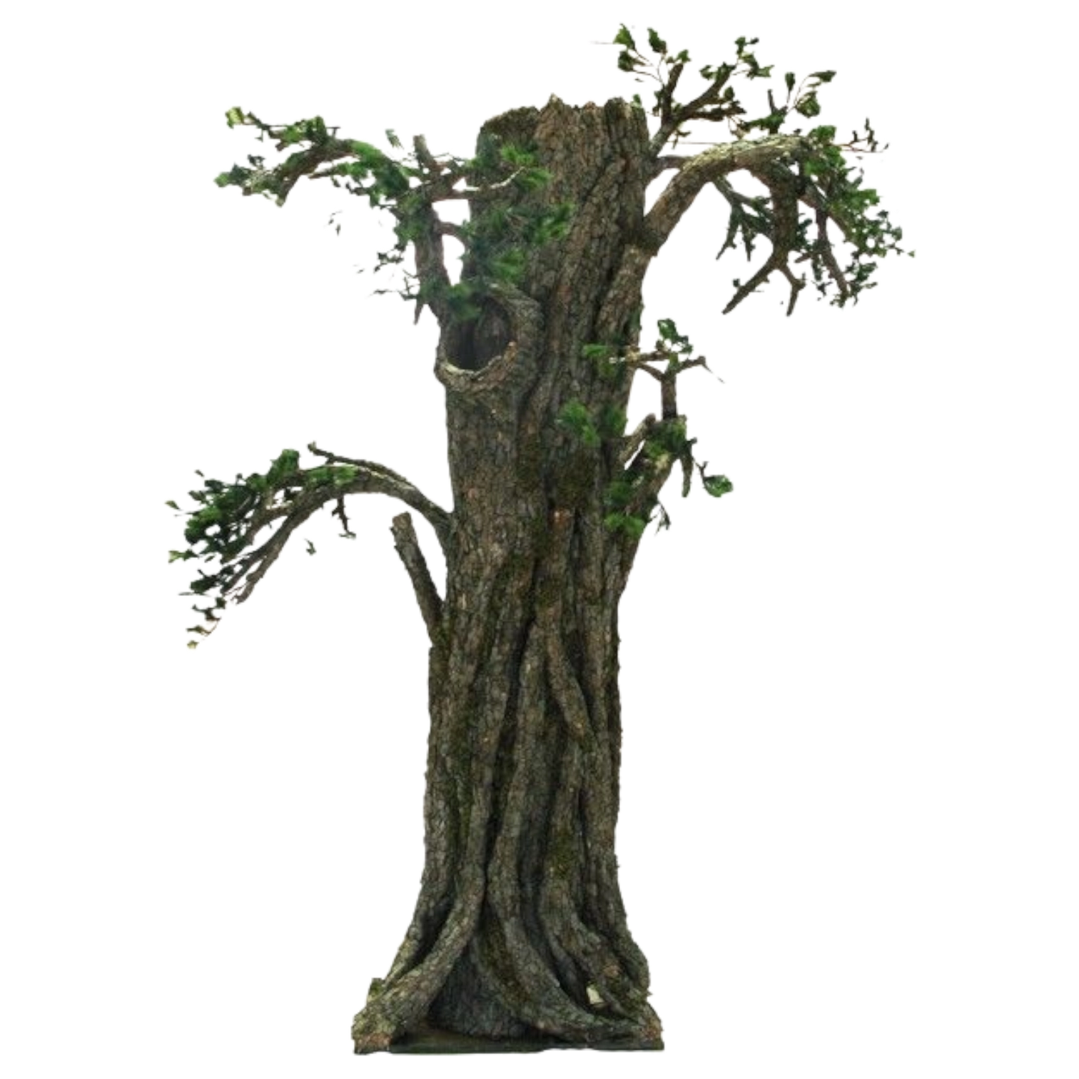 6219047009_1330-JJ-09WRT01 FLOWER TREE WRT01