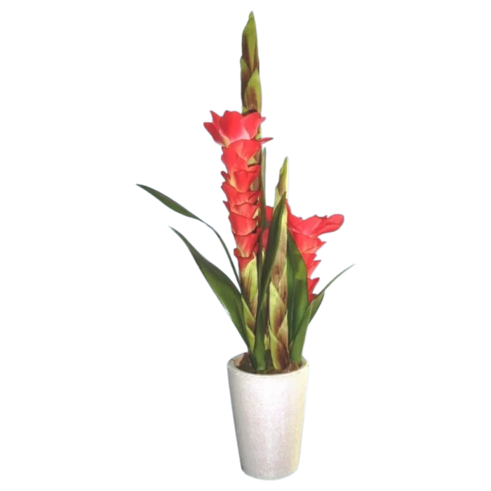 FLOWER GINGER COLOR PINK 2069-1 60cm