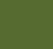 Olive Green color
