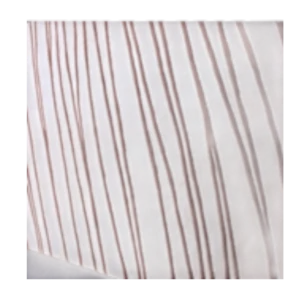 Zebra Carpet - White brown -240x170cm